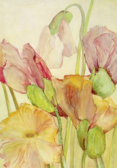 Reichert Katharina, Five Poppies (Blumen, Mohn, Mohnblüten, Floral, Aquarell, transparent, zart, Treppenhaus, Wohnzimmer, bunt)