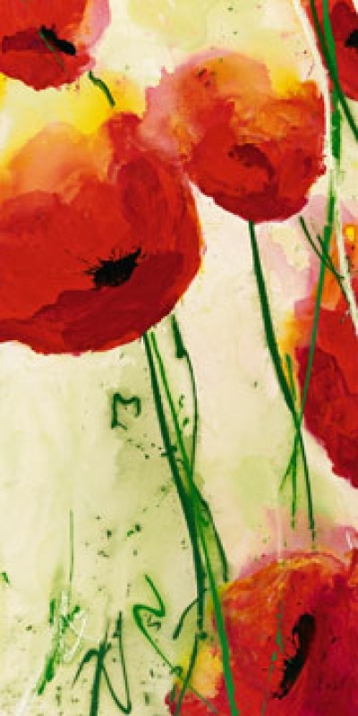 Heidi Reil, Klatschmohn (Blumen, Mohnblumen, Mohnblüten, Floral, Aquarell, transparent, zart, Treppenhaus, Wohnzimmer, bunt)