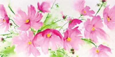 Heidi Reil, Rosa Kosmeen (Blumen, Schmuckkörbchen, Blüten, Floral, Aquarell, transparent, zart, Treppenhaus, Wohnzimmer, bunt)