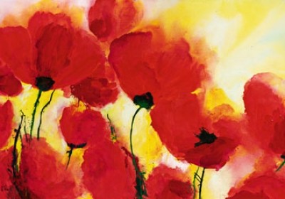 Heidi Reil, Roter Mohn Toskana (Blumen, Mohnblumen, Mohnblüten, Floral, Aquarell, transparent, zart, Treppenhaus, Wohnzimmer, bunt)