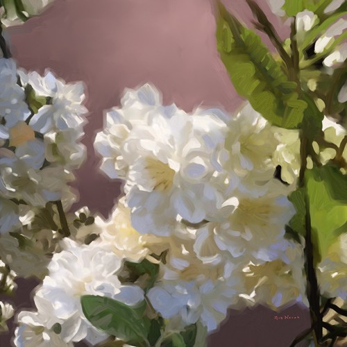 Rick Novak, Roses II
