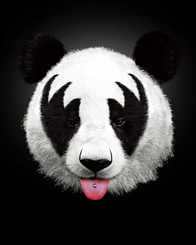 Robert Farkas, Panda Rocks (Wunschgröße, Fotokunst, Pandabär, Tribal, Gothic, Punk, Zungenpiercing, Jugendzimmer, bunt)