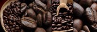 Roberto Scaroni, Caffé (Kaffee, Kaffeebohnen, Genuss, Photokunst, Wunschgröße,  Nahaufnahme, Küche, Esszimmer, Gastronomie, Café, Bistro, braun)