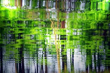 Rolf Möller, Amazonas II (Photokunst, Fotokunst, Wald, Regenwald, Wasser, Pflanzen, Reflexionen, Spiegelungen, unscharf, verschwommen,  modern, Wohnzimmer, Büro, Business, Wunschgröße, bunt)