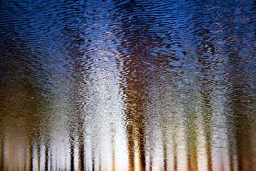 Rolf Möller, Mystic Water II (Photokunst, Fotokunst, Wald,  Wasser, Bäume, Reflexionen, Spiegelungen, unscharf, verschwommen, mystisch, modern, Wohnzimmer, Büro, Business, Wunschgröße, bunt)