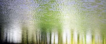 Rolf Möller, Mystic Water III (Photokunst, Fotokunst, Wald,  Wasser, Bäume, Reflexionen, Spiegelungen, unscharf, verschwommen, mystisch, modern, Wohnzimmer, Büro, Business, Wunschgröße, bunt)