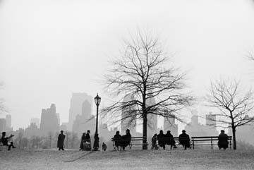 Ruth Orkin, CPS Silhouette (American Scene, Park, Skyline,  50ger Jahre, People & Eros, Fotografie, Fotokunst, Treppenhaus, Wohnzimmer, Wunschgröße, schwarz/weiß)