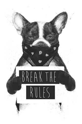 Balasz Solti, Rebel Dog (Hund, Rebell, vermummt, Protest, Anarchie, Grafik, Regeln, Jugendzimmer, Treppenhaus, Wunschgröße, schwarz/weiß)