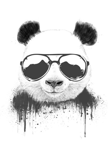 Balazs Solti, Stay Cool (Panda, bär, Sonnenbille, cool, witzig, komisch, Wunschgröße, Grafik, Jugendzimmer, Treppenhaus, Wohnzimmer, schwarz/weiß)