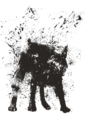 Balazs Solti, Wet Dog (Hund, nass, Fell, Schütteln, Spritzen, Wunschgröße, Grafik, Jugendzimmer, Treppenhaus, Wohnzimmer, schwarz/weiß)