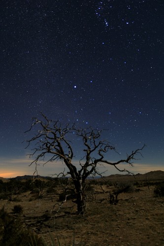 Shawn/Corinne Severn, Mohave at Night No.1 (Mohave, Arizona, Amerika, Natur, Nachtszene, Landschaft, Landschaftsfotografie, Sterne, Himmel, Wunschgröße, Treppenhaus, Wohnzimmer)