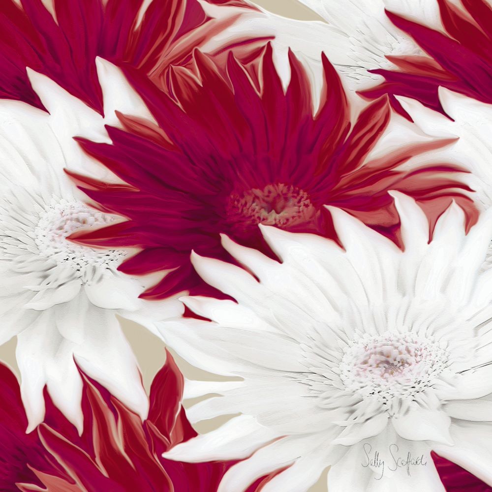 Sally Scaffardi, Elation I (Blumen, Floral, Blüten,  Begeisterung, Jubel, Wohnzimmer, Treppenhaus, Malerei, weiß/rot)