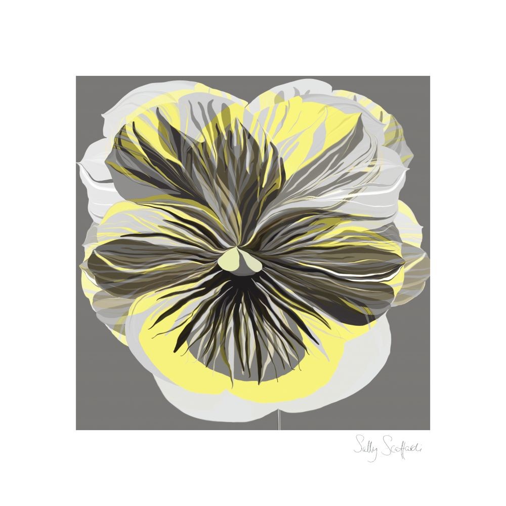 Sally Scaffardi, Pansies I (Blumen, Stiefmütterchen, Floral, Blüten, Blütenblätter, Malerei, Treppenhaus, Wohnzimmer, Schlafzimmer, gelb/grau)