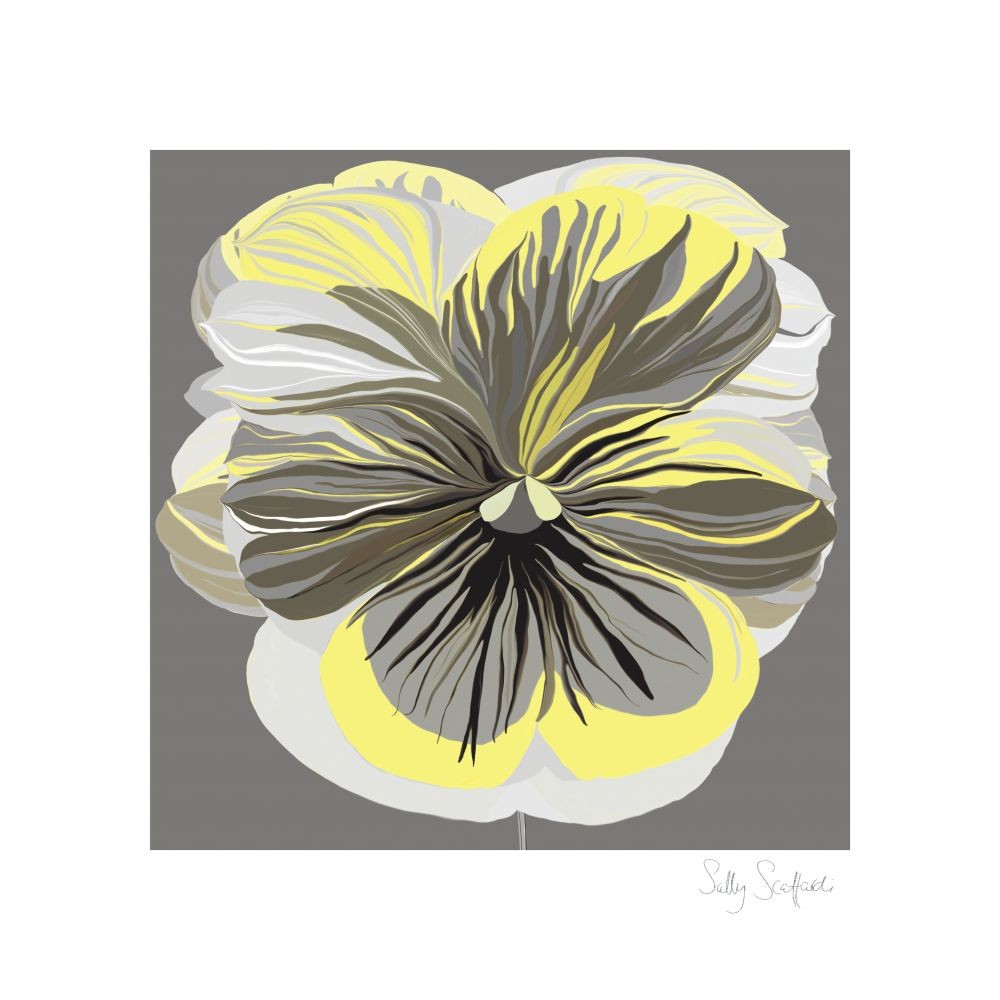 Sally Scaffardi, Pansies Ii (Blumen, Stiefmütterchen, Floral, Blüten, Blütenblätter, Malerei, Treppenhaus, Wohnzimmer, Schlafzimmer,  gelb/grau)