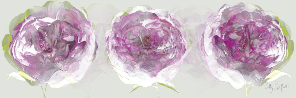 Sally Scaffardi, Pink Allure Ii (Blumen, Floral, Blüten, pinke Velockung, Wohnzimmer, Schlafzimmer, Malerei, bunt)