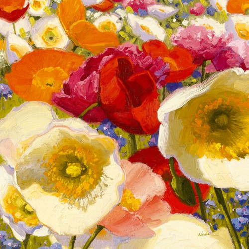 Shirley Novak, Sunny Abundance II (Wunschgröße, Malerei, Blumen, Mohn, Blüten, Mohnblüten, Mohnwiese, Blumenwiese, fröhlich, Sommer, Küche, Esszimmer, Treppenhaus, bunt)