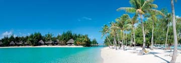 Shutterstock, Beautiful beach on Bora Bora (Strand, Insel, Sand, Traumstrand, Palmen, Urlaub, Südsee, Fotografie, Meer, Badezimmer, Treppenhaus)