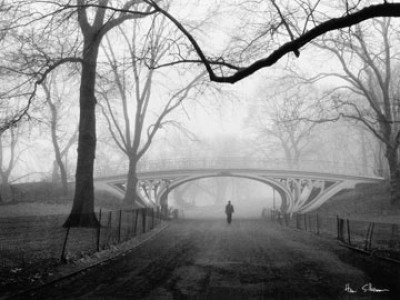 Henri Silberman, Gothic Bridge, Central Park NYC (Städte, Metropolen, New York,  Park, Nebel, Dunst, Fotokunst, Städte&Gebäude, Architektur,  Wohnzimmer, schwarz/weiß)