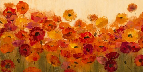 Silvia Vassileva, Summer Poppies (Wohnzimmer,Soziale Einrichtungen,Flur,Treppenhaus,Blumen,bunt,Blüten,Mohn)