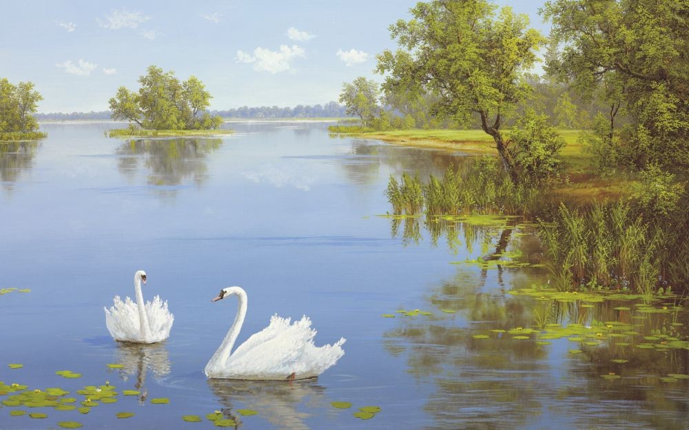 Slava, SWANS ON THE LAKE (NOSTALG.)