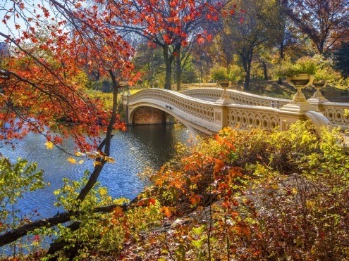 Leinwandbild, Susanne Kremer, Bow Bridge, Central Park (Landschaftsfotografie, Central park, New York, Manhattan, Erholung, Brücke, Bäume, Herbst, Idylle, Wohnzimmer, Wunschgröße,  bunt)