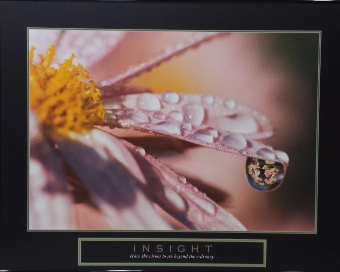 Bild mit Rahmen, Unbekannt - Insight, Alu schwarz glänzend (Motivation Blüte Tropfen Pollen Stempel Spiegelung Ruhe)