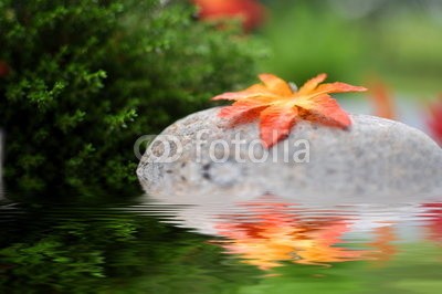 Stefan Körber, Herbstblatt (blatt, wasser, backstein, spiegelung, herbst, einzelner, einsamkeit, ruhe, grau, bunt, rot, orange, kalt, blatt, laub, steine, natur, october, goldene, jahreszeit, stimmung, wellness, erholung, stille, braun, baum, bÃ¤ume, ernte, thanksgiving, jahreszei)