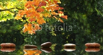 Stefan Körber, Steine im Teich (see, teich, steine, wasser, ast, blatt, herbst, frÃ¼hling, sommer, jahreszeit, schwimmen, fahren, spiegelung, o, natur, feucht, wellness, massage, erholung, kette, series, gruppe, park, wald, ruhe, stille, entspannung, braun, energie, garten, zusamme)
