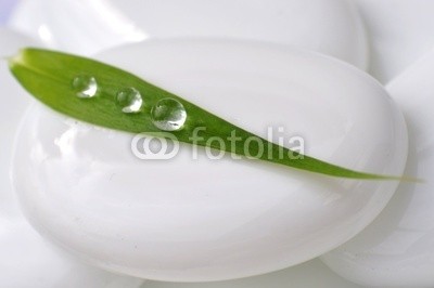 Stefan Körber, Tropfen auf Bambusblatt (rieseln, farne, wellness, weiÃŸ, grÃ¼n, steine, kosmetik, entspannung, massage, blume, natur, frisch, sauber, klar, gesundheit, kÃ¶rperpflege, umwelt, ashtray, blatt, nahaufnahme, hintergrund, meditation, erholung, wasser, spiegelung, stille, ruhe, lo)