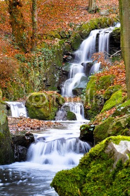 Stefan Körber, Wildbach (wasserfall, bach, wald, wasser, schnell, fluÃŸ, tal, herbst, wilde, ruhe, wandern, erholung, natur, wildnis, felsen, steine, laub, bÃ¤ume, jahreszeit, orange, braun, landschaft, wildnis, strÃ¶men, europa, deutschland, ufer, moos, flavien, fall, rase)