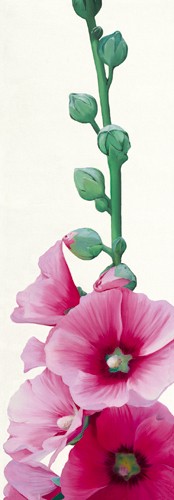 Stephanie Andrew, Pink Hollyhock II (Wunschgröße, Malerei, Flora, Stockrose, Blüte, Blütenstängel, Knospen, naturgetreu, Blütenblätter, Treppenhaus,  Schlafzimmer, pink / weiß)