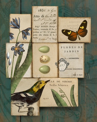 Sue Schlabach, Birds and Butterflies I (Schilder, Gartenvögel, Schmetterlinge, Blumen, Nostalgie, Vogeleier, Bestimmungskarten, Ornithologie, Botanik, Treppenhaus, Esszimmer, Wohnschgröße, bunt)
