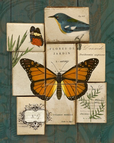 Sue Schlabach, Birds and Butterflies II (Schilder, Gartenvögel, Schmetterlinge, Blumen, Nostalgie, Vogeleier, Bestimmungskarten, Ornithologie, Botanik, Treppenhaus, Esszimmer, Wohnschgröße, bunt)
