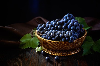 Sunny Forest, Grape (weintraube, essen, wein, hintergrund, obst, grün, rot, bündel, reif, gesund, leaf, wein, natur, ernten, frisch, beere, ackerbau, natürlich, blau, pflanze, süss, saftiges, herbst, weingut, cluster, verzweigt, weinbau, lila, dunkel, ernährung, organisc)
