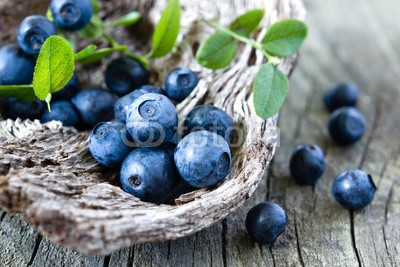 Sunny Forest, Blueberry (blueberry, obst, beere, essen, blau, frisch, gesund, süss, isoliert, weiß, saftiges, nachspeise, leaf, gruppe, reif, blaubeere, organisch, imbiss, natur, hölzern, huckleberry, grün, makro, brombeere, hintergrund, natürlich, zutaten, ernährung, objek)