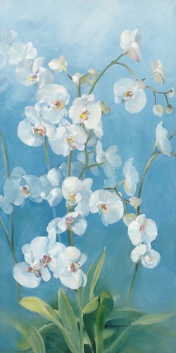 Sylvie Vernageau, Phalaenopsis Fontaine II (Wunschgröße, Malerei, Blumen, Orchideen, Blüten, Pflanzen, Botanik, Dunst, Wohnzimmer, Schlafzimmer, Treppenhaus, blau / weiß)