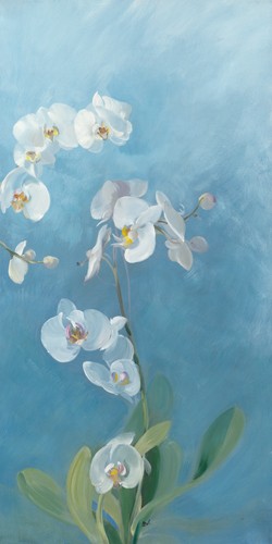 Sylvie Vernageau, Phalaenopsis Fontaine III (Wunschgröße, Malerei, Blumen, Orchideen, Blüten, Pflanzen, Botanik, Dunst, Wohnzimmer, Schlafzimmer, Treppenhaus, blau / weiß)