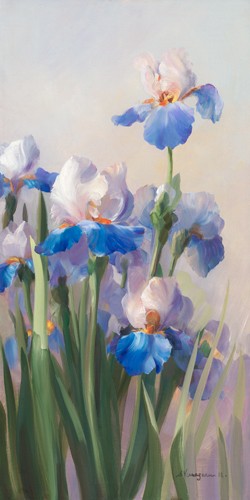 Sylvie Vernageau, Iris French Cancan (Wunschgröße, Malerei, Blumen, Iris, Lilien, Blüten, Pflanzen, Botanik, Dunst, Wohnzimmer, Schlafzimmer, Treppenhaus, blau / weiß)