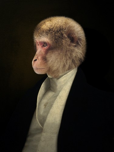 Philippe Tyberghien, Humboldt (Affe, Äffchen, Edelmann, Tierportrait, historische Kleidung, Anthropomorphismus, Malerei, Wunschgröße, Wohnzimmer, bunt)