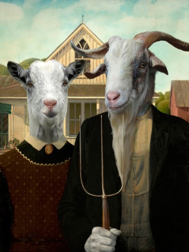 Philippe Tyberghien, American Goat (Ziege, Ziegenbock, Paar, tradtionell, Amerikanisch, Anthropomorphismus. Malerei, Wunschgröße, Wohnzimmer, bunt)