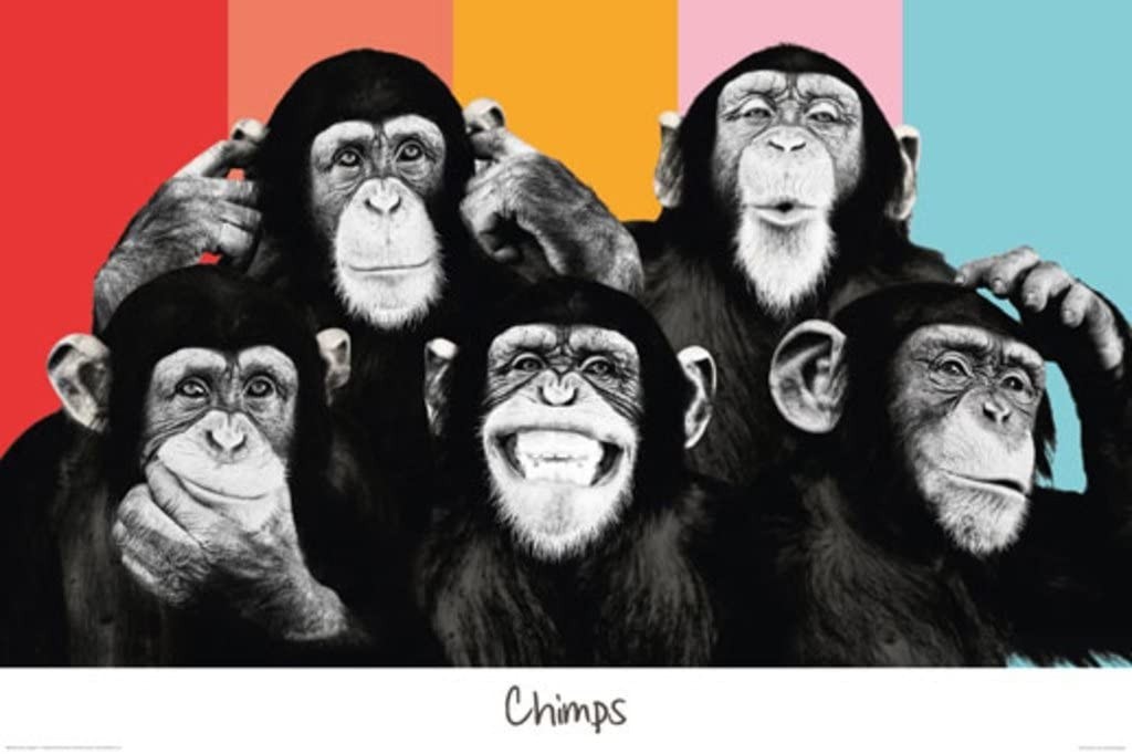 Unbekannt - The Chimp Compilation Pop Art (Affen, Schimpansen, Spaß,  witzig, Pop Art, Tiere, Fotokunst, Jugendzimmer, Wohnzimmer, Musikzimmer, schwarz/weiß/bunt)