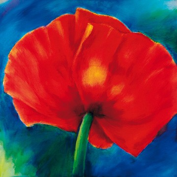 Thomas Aeffner, Nachtmohn I (Limitiert und Handsigniert) (Floral, Natur, Blumen, Mohnblüten, Mohn, leuchtend, Business, Büro, Arztpraxis, Wohnzimmer, rot / blau)