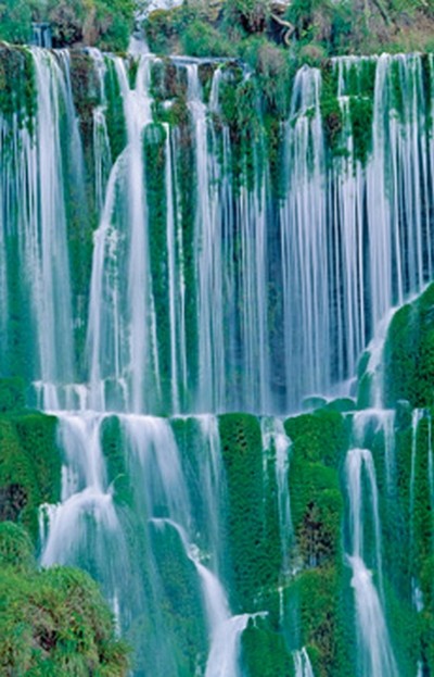Thomas Marent, Waterfall I (Photokunst, Wunschgröße, Fotokunst, Landschaftsfotografie, Landschaften, Bäume, Wasserfall)