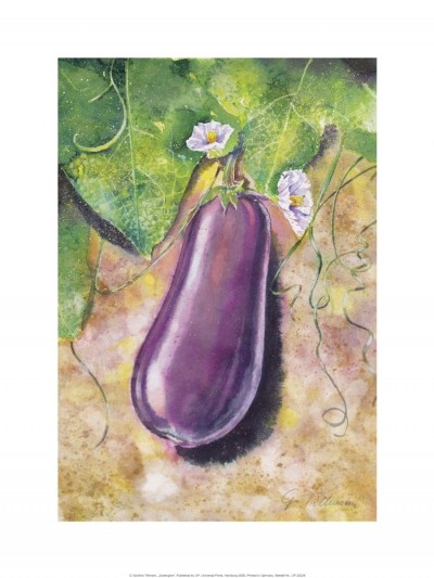 Günter Tillmann, Aubergine (Aubergine, Gemüse, Blüten, Frucht, exotisch, Malerei, Küche, Gastronomie, Esszimmer, bunt)