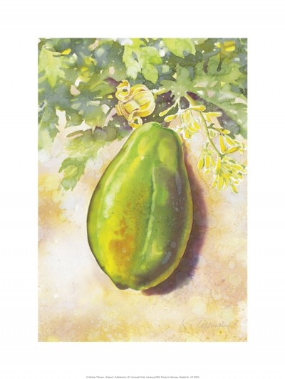 Günter Tillmann, Papaya (Papaya, Frucht, Obst, Blüten, exotisch, Malerei, Küche, Gastronomie, Esszimmer, bunt)