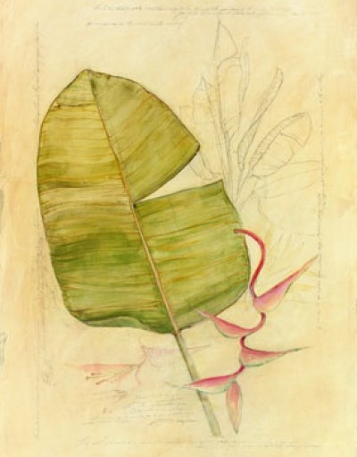Avery Tillmon, Botanical Journal I (Malerei, Zeichnung, Natur, Blatt, Botanik, Studie,  Treppenhaus, grün)