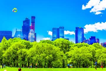 Toby Seifinger  New York in Colors 2 (New York, Stadt, Metropole, Skyline, Park, Bäume, Coloriert Photokunst, Wunschgröße, Wohnzimmer, Büro, zeitgenössisch, bunt)