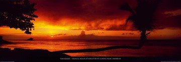 Tom Mackie, Tropical Beach at Sunset (Fotografie, Photografie, Landschaftsfotografie, See, Meeresbrise, Sonnenuntergang, Wolken, Strand, Horizont, Urlaub, Traumurlaub, Karibik, Schlafzimmer, Wohnzimmer, Arztpraxis, Badezimmer, bunt)