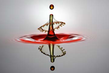 Tobias Bräuning, Vollendung (Wassertropfen, Makro, Momentaufnahme, Splash, Wunschgröße, Photokunst, Fotokunst, Büro, Business, Wohnzimmer, Treppenhaus)