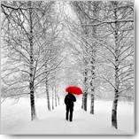 Uwe Steger, Der einsame Weg (Winterlandschaft, Landschaft, Schnee, Spaziergänger, Bäume, Einsamkeit, roter Schirm, Park, Kälte, Fotokunst, Colorspot, Modern, Treppenhaus, Wohnzimmer, schwarz/weiß, rot)